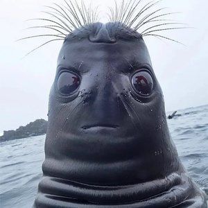 Meet your Posher, Dany